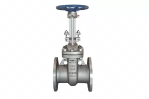 JIS/KS Stainless Steel Gate Valve