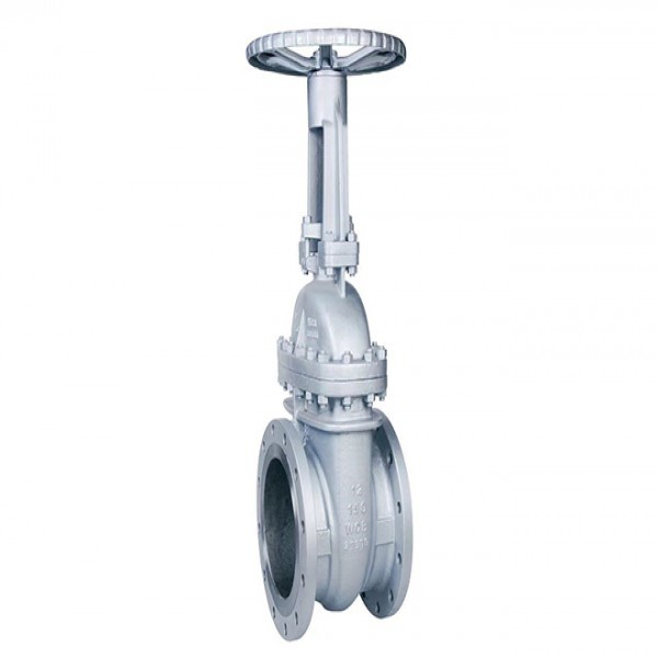 API600 Cast Steel Gate Valve