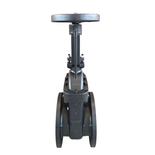 125LB OS&Y Gate Valve