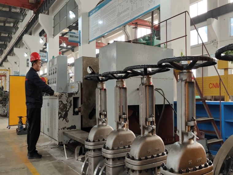 Comprehensive Valve Solutions by WuHu CNM Valve Industry Co., Ltd.